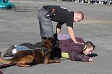 ARRESTATION POLICE 015
